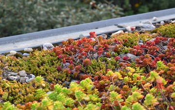 the cost of Phillack green roof installation
