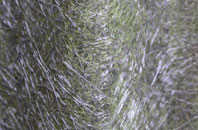 Phillack fibreglass roof work